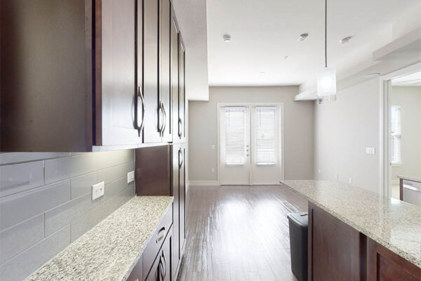 2 bedroom 2 bathroom virtual apartment tour.